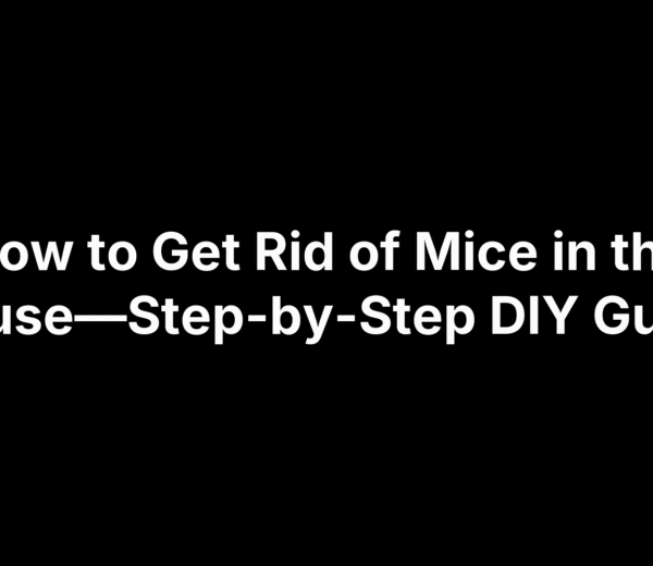 How to Get Rid of Mice in the House—Step-by-Step DIY Guide