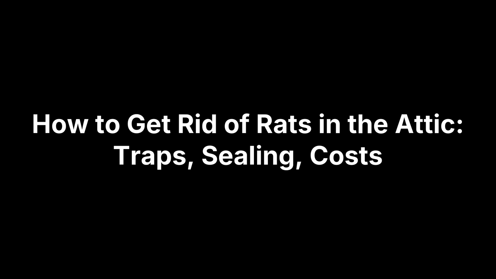 How to Get Rid of Rats in the Attic: Traps, Sealing, Costs