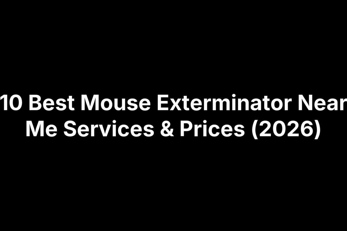 10 Best Mouse Exterminator Near Me Services & Prices (2026)