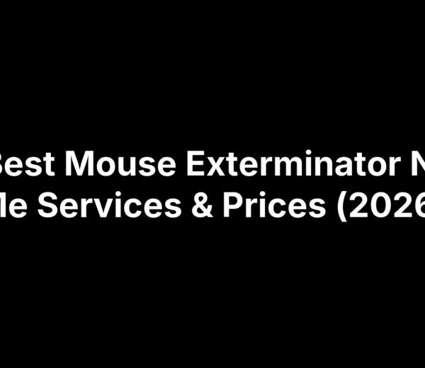 10 Best Mouse Exterminator Near Me Services & Prices (2026)
