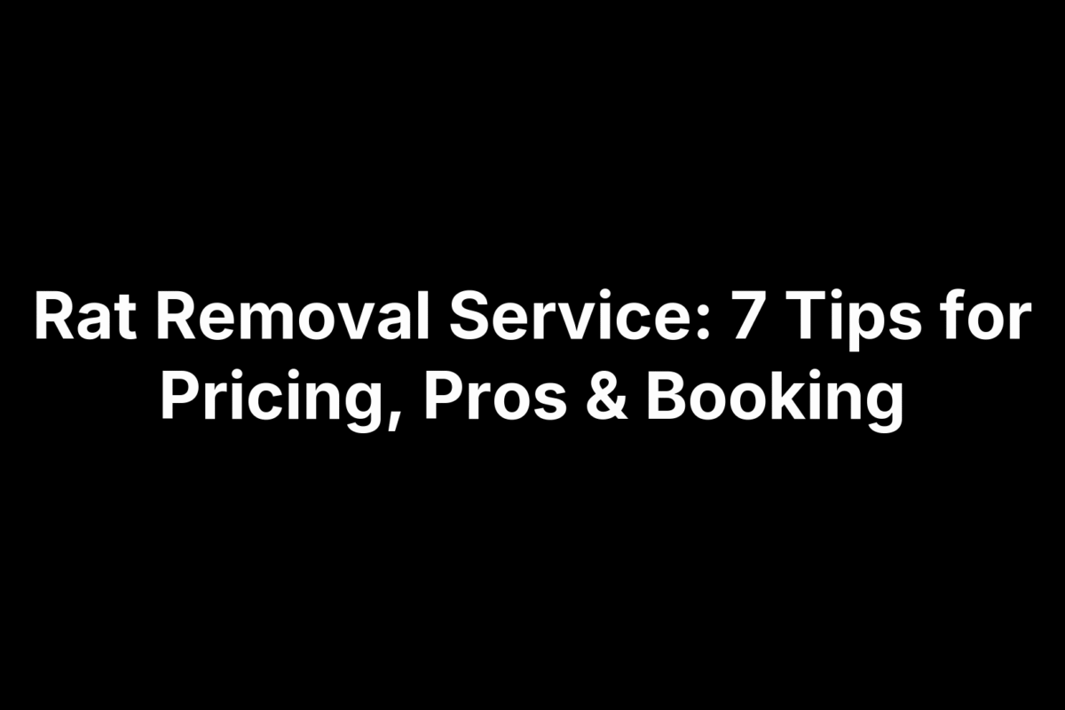 Rat Removal Service: 7 Tips for Pricing, Pros & Booking