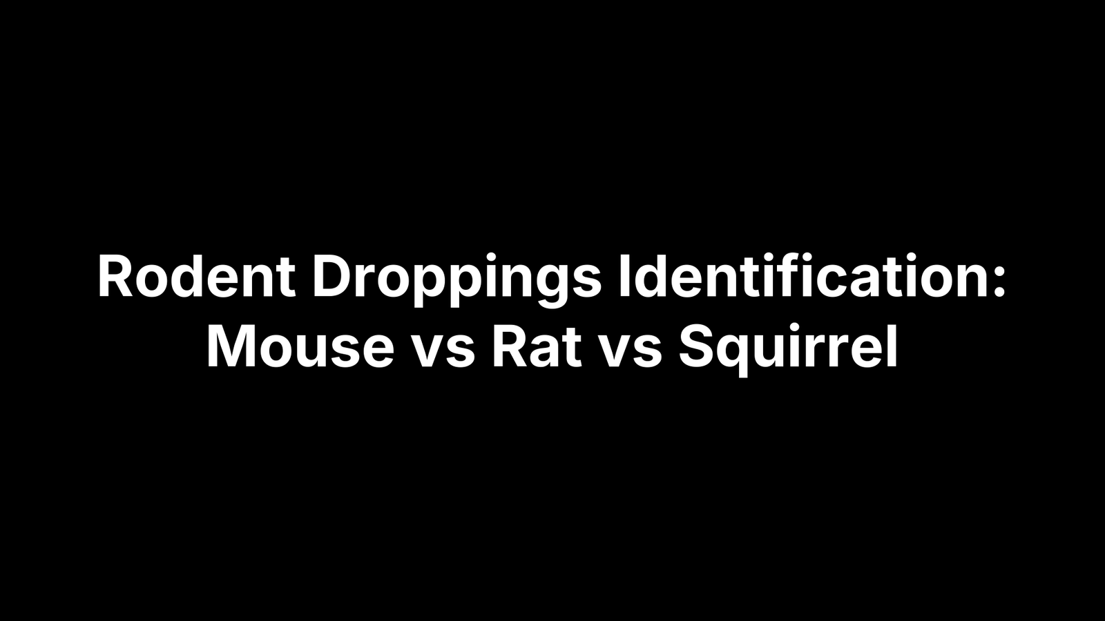 Rodent Droppings Identification: Mouse vs Rat vs Squirrel