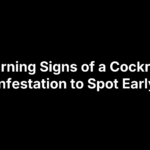 5 Warning Signs of a Cockroach Infestation to Spot Early