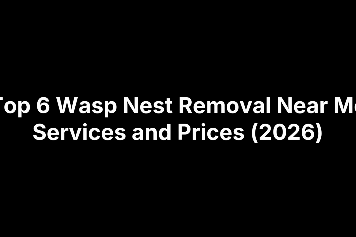 Top 6 Wasp Nest Removal Near Me Services and Prices (2026)