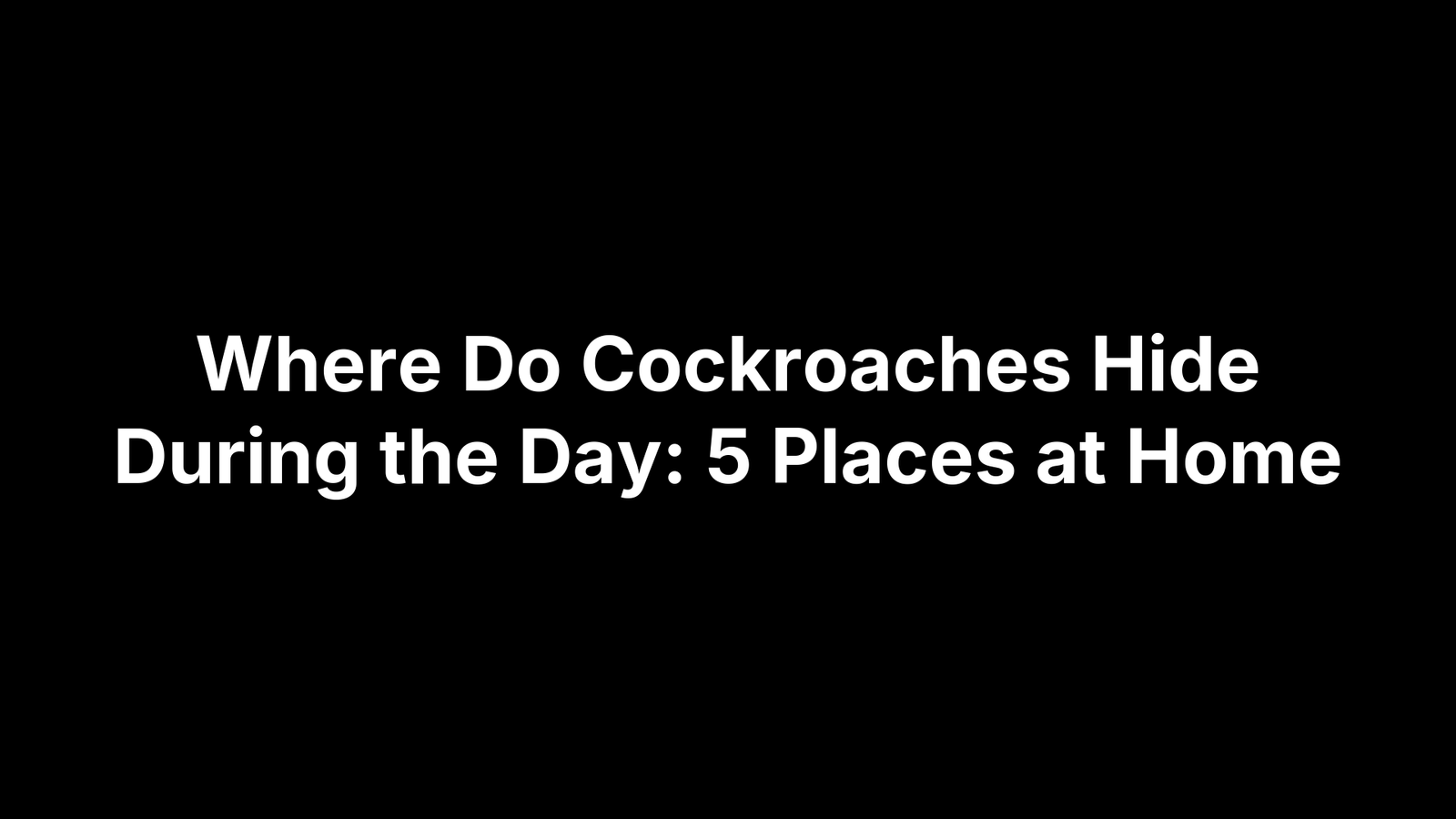 Where Do Cockroaches Hide During the Day: 5 Places at Home